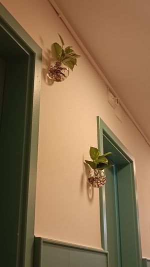  at Veganashi - Gluten Free Sushi in Barcelona