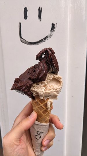 Both vegan : Dark chocolate - Hazelnut at Massimo Gelato - Hanzenstraat in Amsterdam