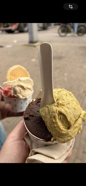 Hazelnut is also vegan (strawberry is not)  at Massimo Gelato - Hanzenstraat in Amsterdam
