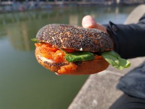 New York City Lox Bagel at Budapest Bagel in Vienna