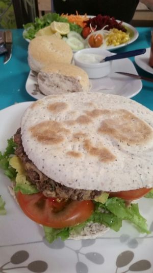 Soy burger, multi-coloured salad and garlic sauce (all vegan) at Estrella Negra in San Pedro De Atacama