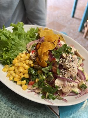 Setas  at Estrella Negra in San Pedro De Atacama