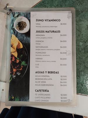 Menu at Estrella Negra in San Pedro De Atacama