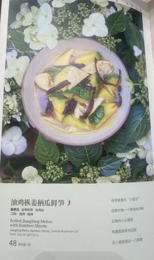 Menu  at Vegegood 素来很好 in Shanghai