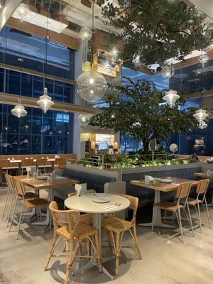 Vibe #Veganuary at Little Tree Food 小小樹食 - Xiǎo Xiǎo Shù Shí in Taipei