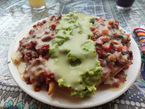 Homemade fries with guacamole, beans and pico de gallo with vegan cheese at Salud Para Vida in San Pedro La Laguna