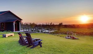 Vista at Coffin Ridge Boutique Winery in Meaford