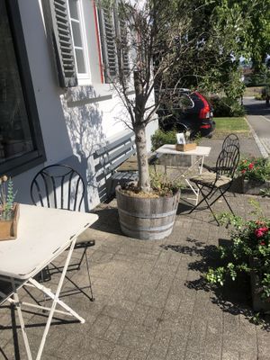 Schöner Außenbereich und Garten  at Café am Kloster in Reichenau