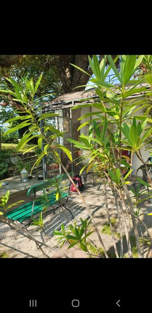 Seat in the green at Café am Kloster in Reichenau