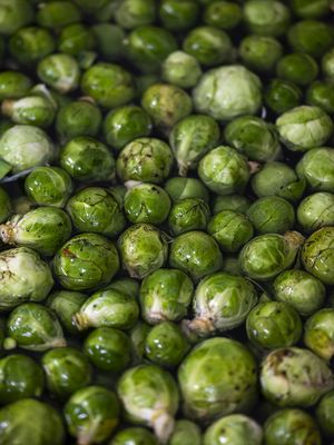  at Frank. in Brussels