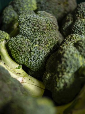  at Frank. in Brussels