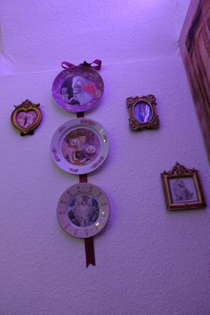 Dolores Umbridge Decoration inspired at Phoenix Book Café in Klagenfurt
