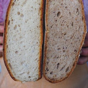 Pane (farina tipo 0 e tipo 2, pasta madre viva, acqua e sale)
Pane multicereali (farina integrale, farina di segale, avena, orzo e semi misti, pasta madre viva, acqua e sale) at Antichi Sapori in Sgurgola