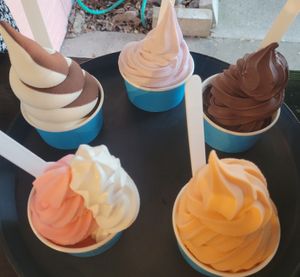Dairy Free Double Fudge, Orange Fruit Whip, Vanilla & Strawberry and others. at Papsy's Place in Wilmington