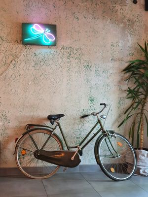 Interior sneak peek at Las in Zakopane