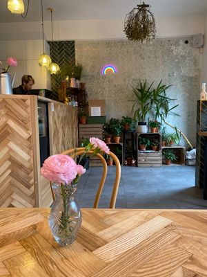 Las  at Las in Zakopane