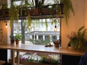 Las  at Las in Zakopane