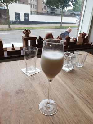 vegan sgroppino at Café Bosch in Arnhem