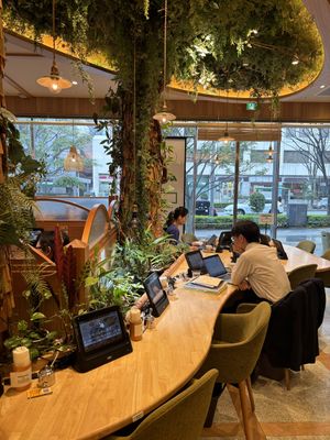 seating area   at KOMEDA is in Tokyo