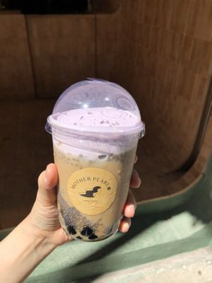 La la love at Mother Pearl 圓貝 in Hong Kong Island