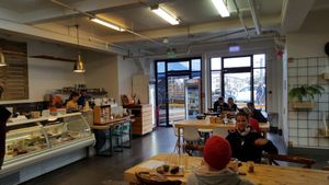 Café view at Wise Cicada Wholefood Cafe in Auckland