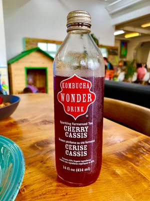 Best kombucha I have had  at Wise Cicada Wholefood Cafe in Auckland