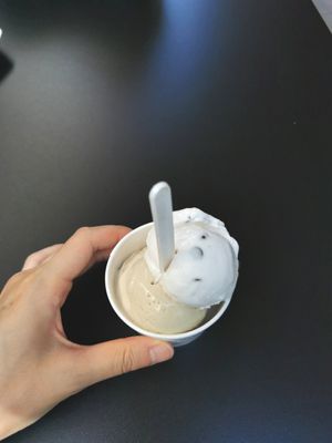 Vegan gelato at Lick  in Perugia