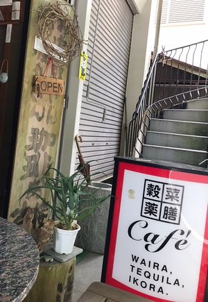   at Waira Tequila Ikora in Koya