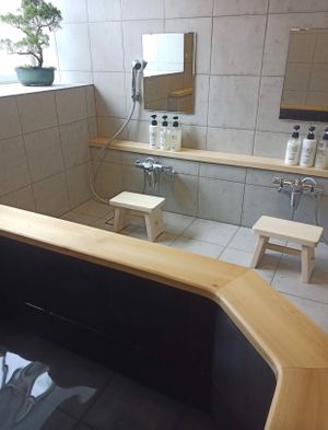   at Myoko Forest Lodge in Myoko