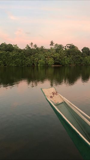 The view  at Kola in Koggala