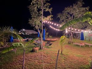 The lawn  at Kola in Koggala