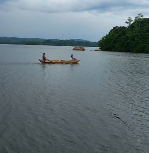 View at the lake at Kola in Koggala