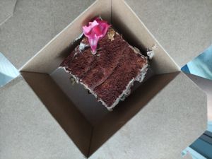 Tiramisu at Natural Cookery School in Nailsworth