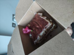 Tiramisu at Natural Cookery School in Nailsworth