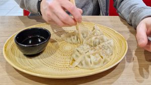 Dumplings at Loving Hut in Reykjavik