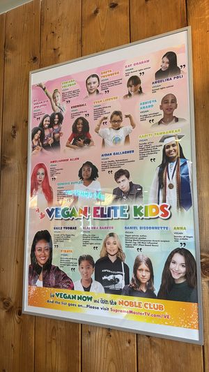   at Loving Hut in Reykjavik