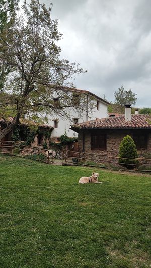  at Molino del Corregidor in San Roman De Cameros