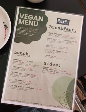 The vegan menu at Plas Llanelly House in Llanelli