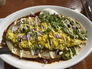 tofu rancheros with all the vegan toppings! at Tom Kat Kafe in Gainesville