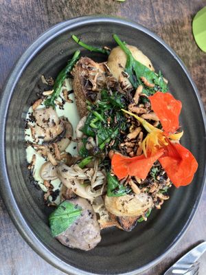 Mushroom on sourdough   at The Knox in Watson
