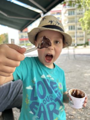 Not just the sorbets, but also all fruit ice-cream except the banana and coconut flavours are vegan. Cacao sorbet is DIVINE!!!  at Glaces Franchi in Strasbourg