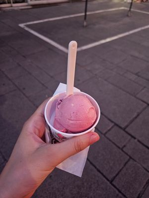  at Glaces Franchi in Strasbourg