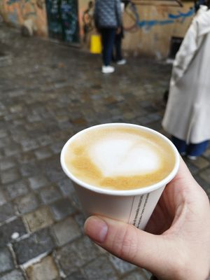  at Fenster Cafe in Vienna