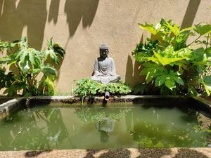 Buda garde at GAO in Matosinhos