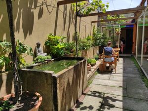 Garden at GAO in Matosinhos