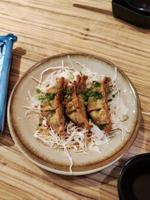 Fried gyoza at Kakekomi Gyoza in Tokyo