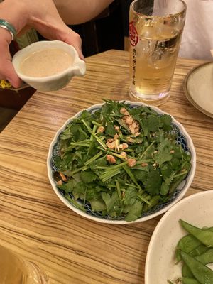 Green salad with sesame dressing   at Kakekomi Gyoza in Tokyo