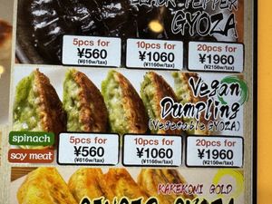 Delicious gyoza dumplings 🥟   at Kakekomi Gyoza in Tokyo