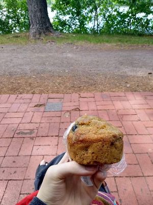 Muffin at Good Earth Food Co-op in St Cloud