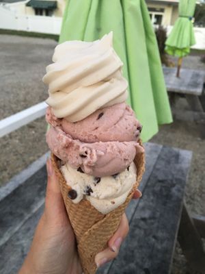 mint chip, raspberry chip, vanilla soft serve (large)  at Sweet Izzy in Harwich Port